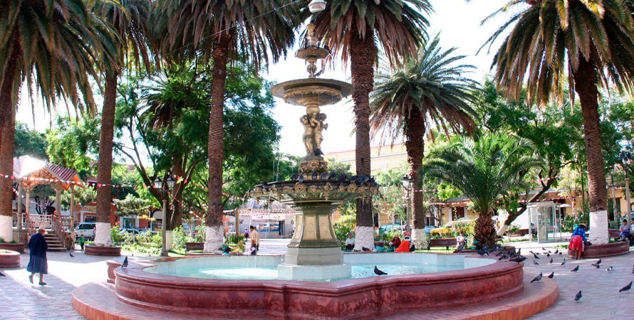 Tarija